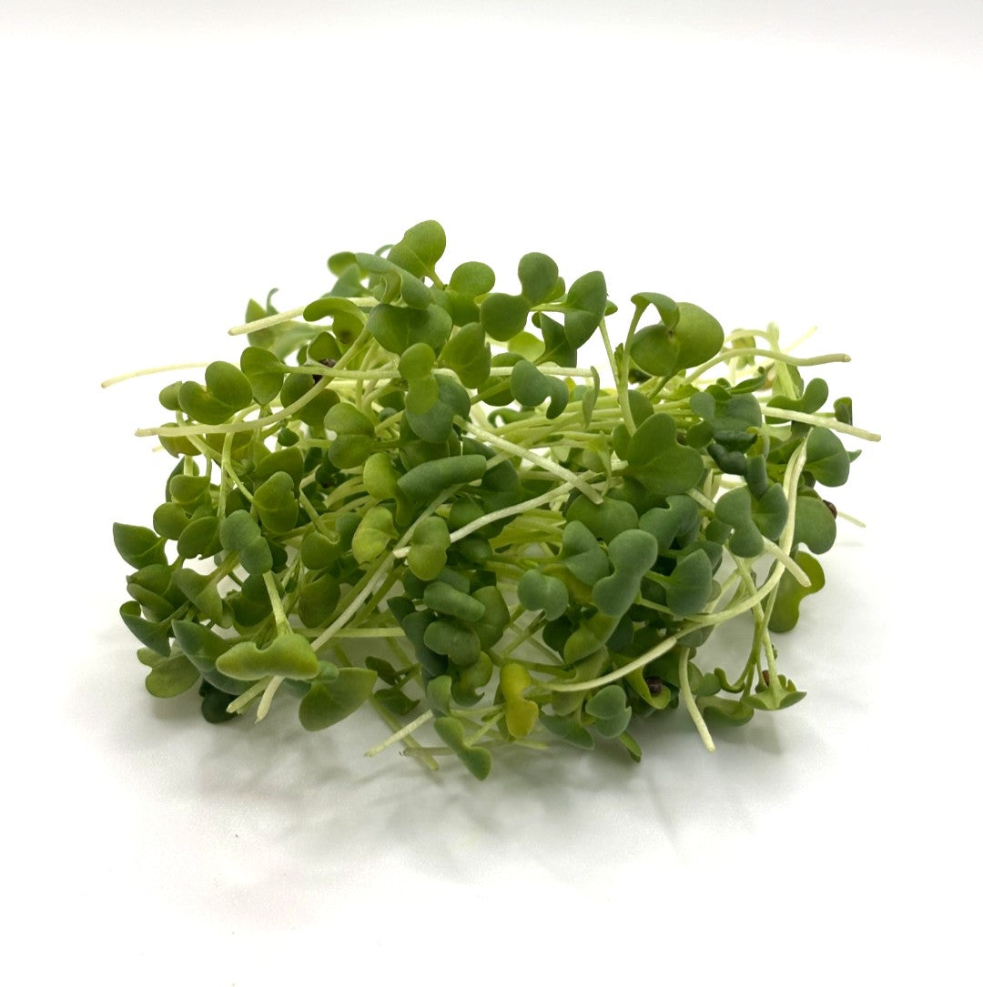 Mustard Microgreens