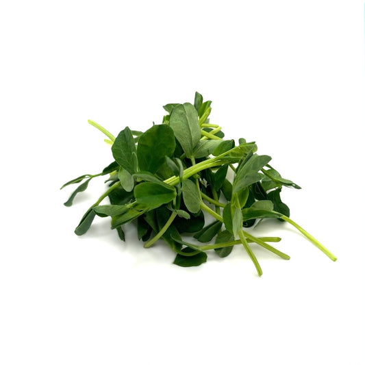 Speckled Pea Microgreens