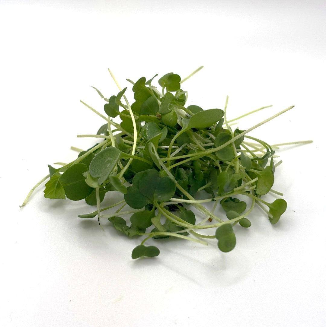 Arugula Microgreens