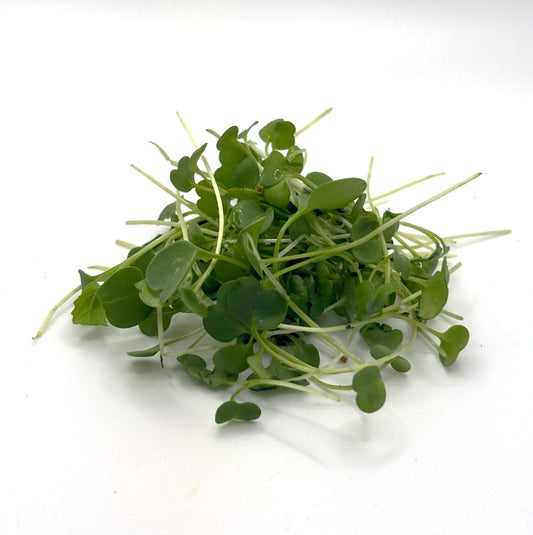 Arugula Microgreens