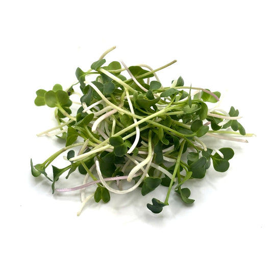Broccoli Microgreens