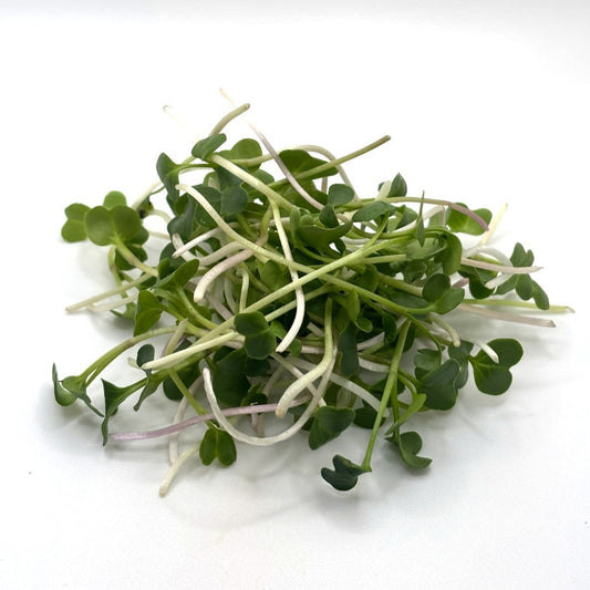 Radish Microgreens